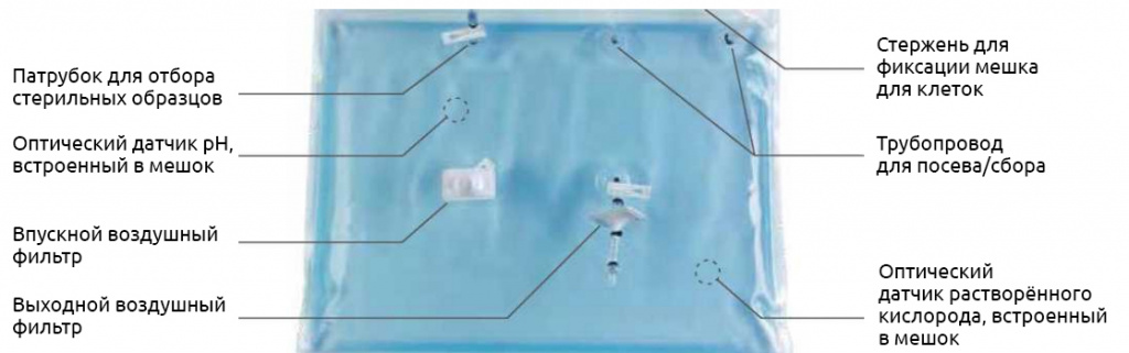 одноразовые мешки CytoLinX® WB для клеточных культур 